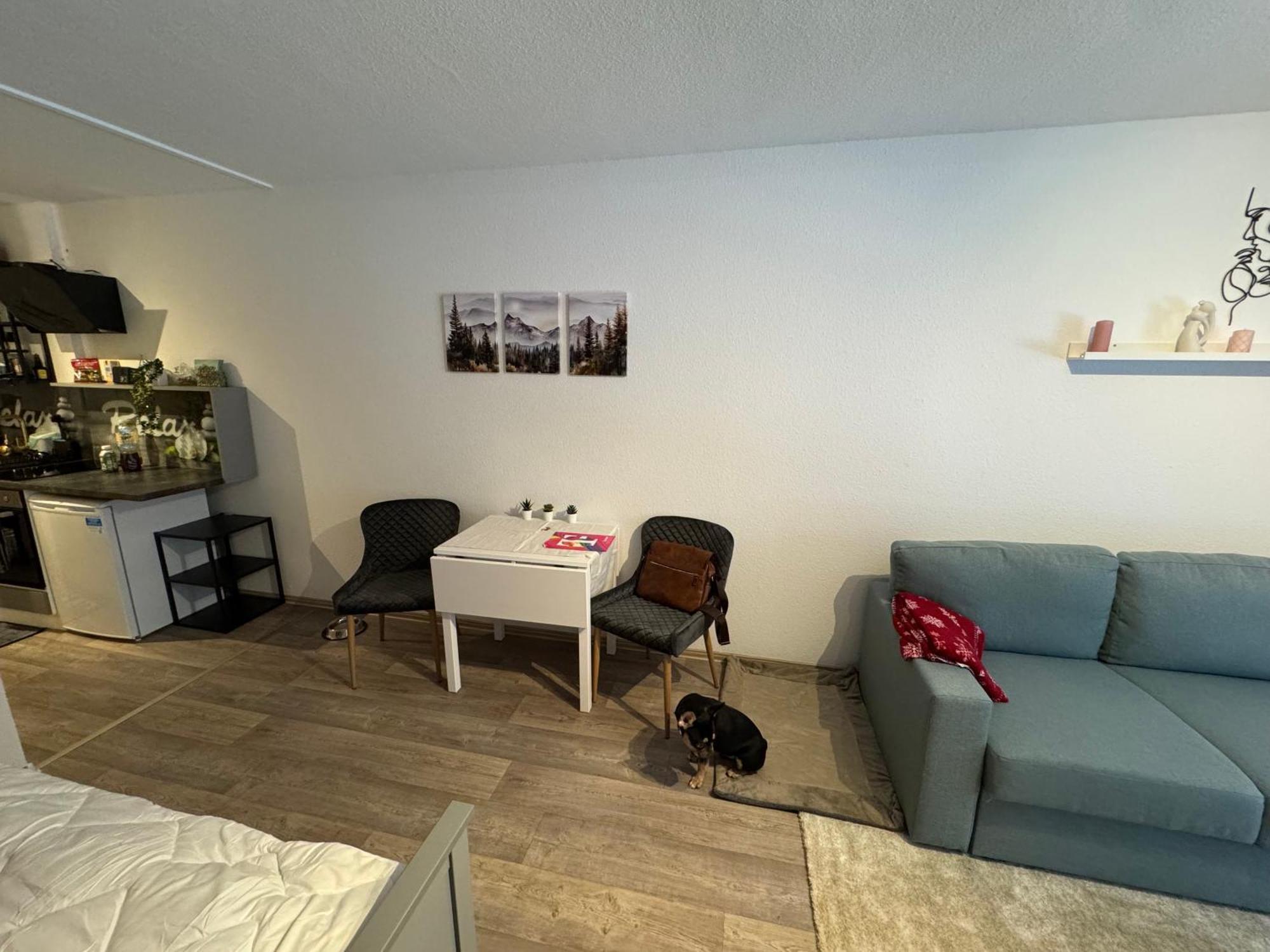 Apartment Maja Unmittelbar An Der Skipiste Winterberg Buitenkant foto