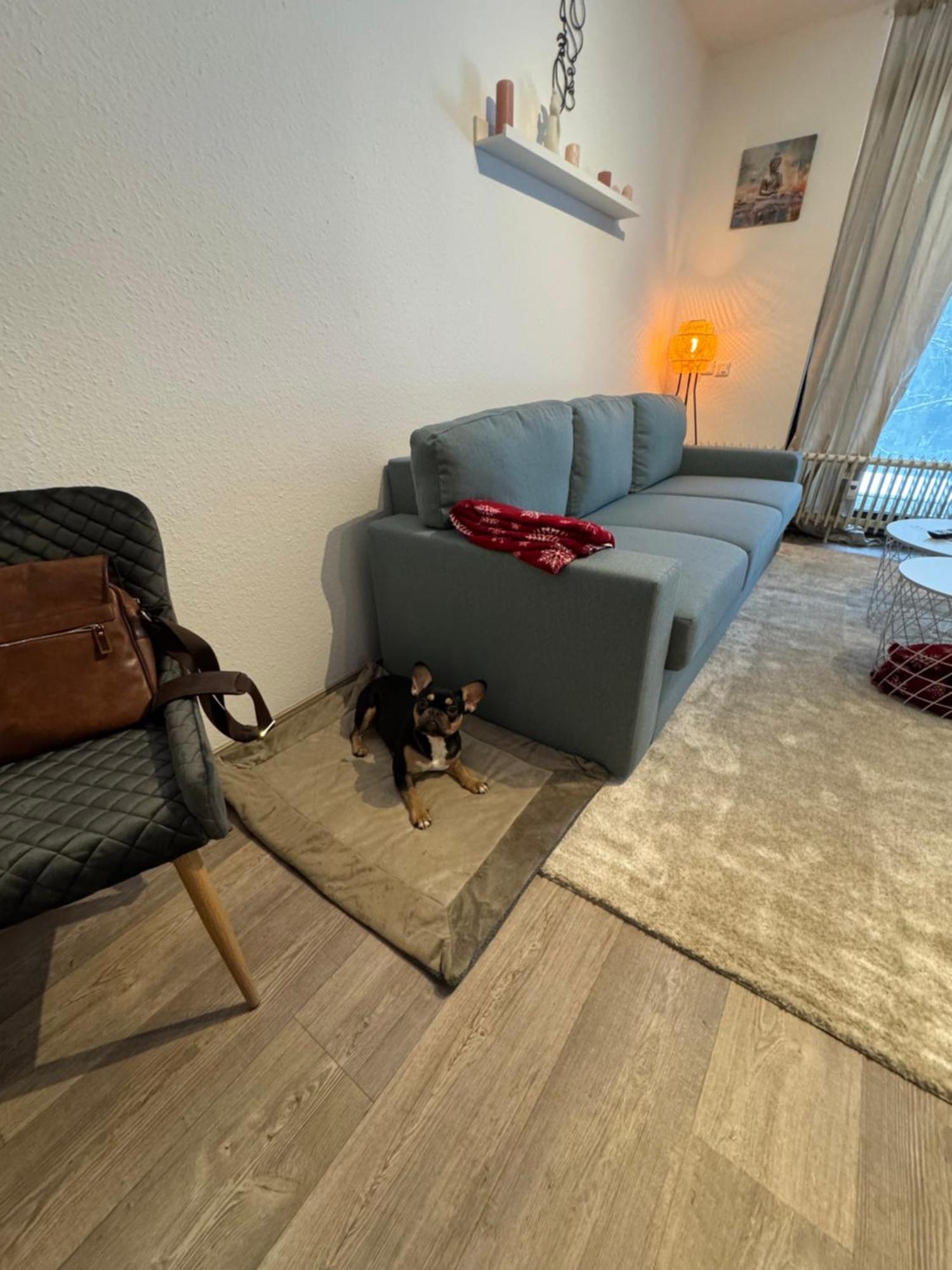 Apartment Maja Unmittelbar An Der Skipiste Winterberg Buitenkant foto