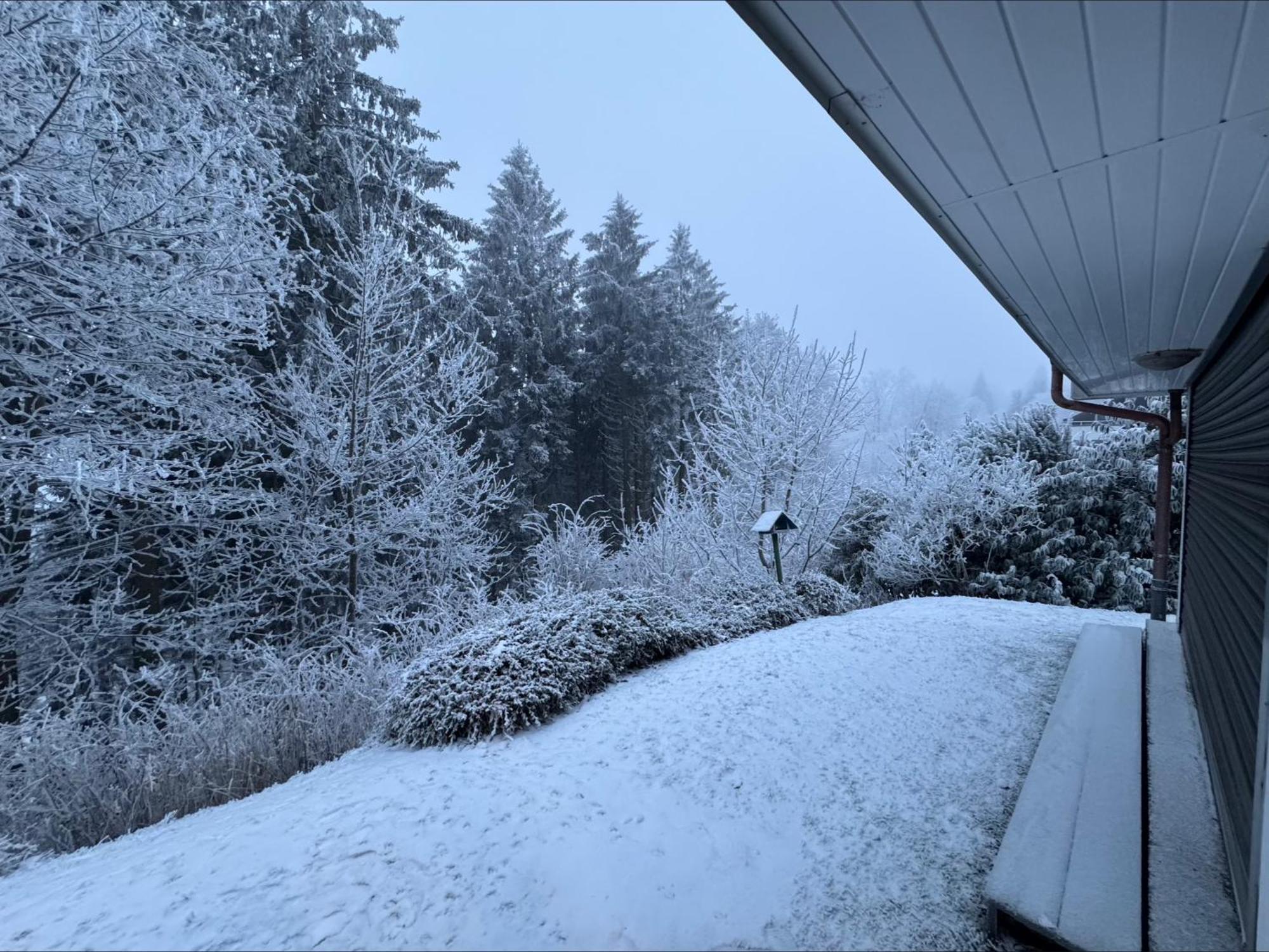 Apartment Maja Unmittelbar An Der Skipiste Winterberg Buitenkant foto